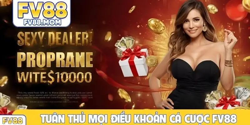Tuân thủ mọi điều khoản cá cược FV88